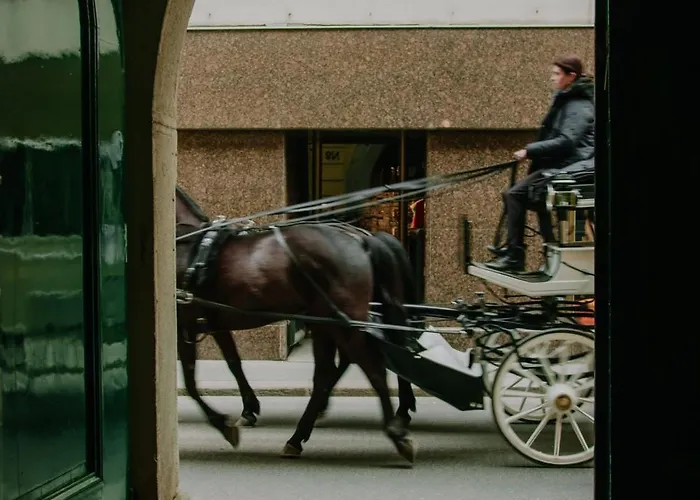 Koenig Von Ungarn Hotel Vienna